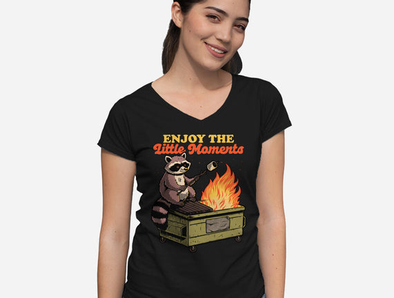 Raccoon Dumpster Fire