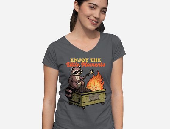 Raccoon Dumpster Fire