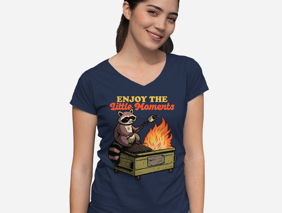 Raccoon Dumpster Fire