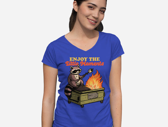 Raccoon Dumpster Fire