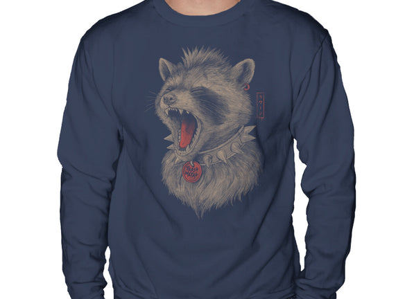 Metal Raccoon