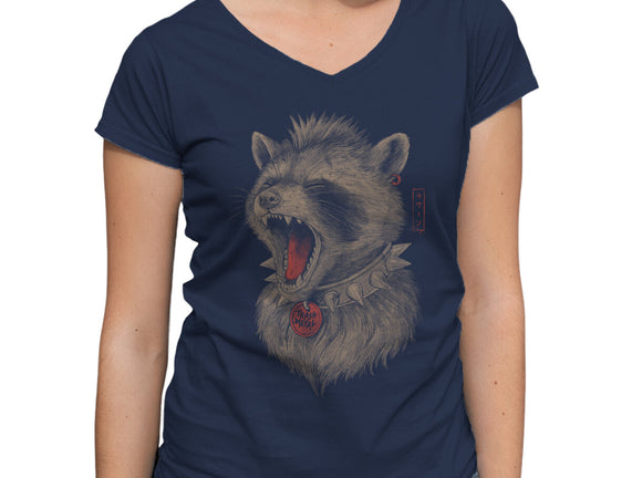 Metal Raccoon