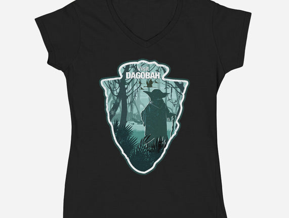 Visit Dagobah