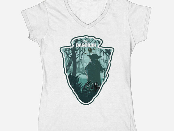 Visit Dagobah