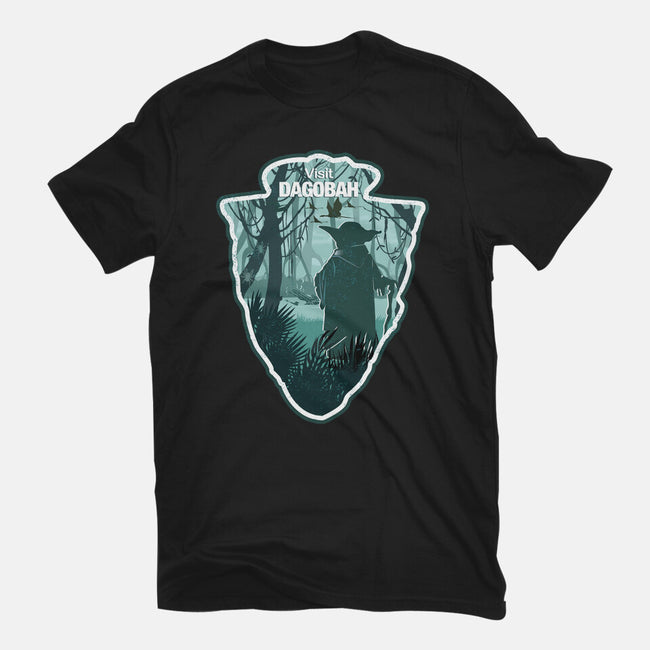 Visit Dagobah-Womens-Fitted-Tee-palmstreet