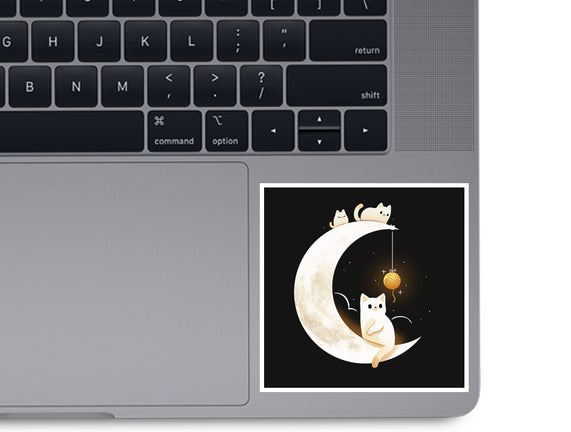 Kitten Moon