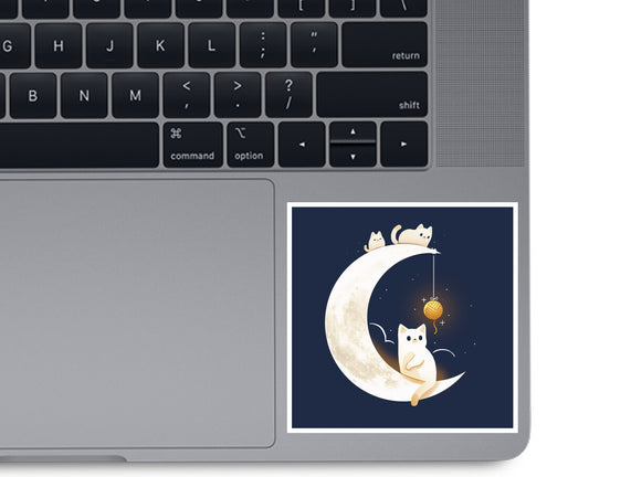 Kitten Moon