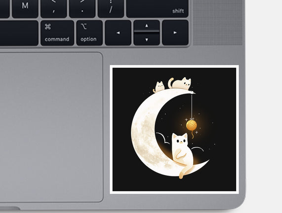 Kitten Moon
