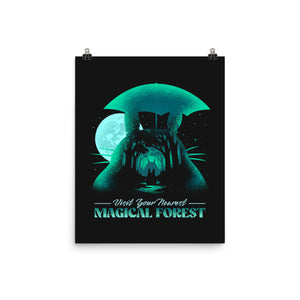 Visit Your Nearest Magical Forest