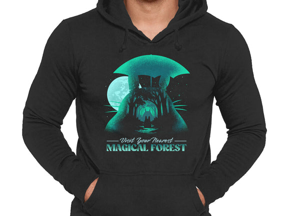 Visit Your Nearest Magical Forest
