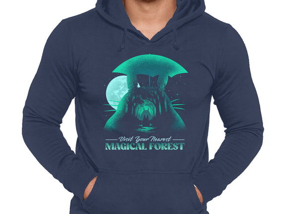 Visit Your Nearest Magical Forest