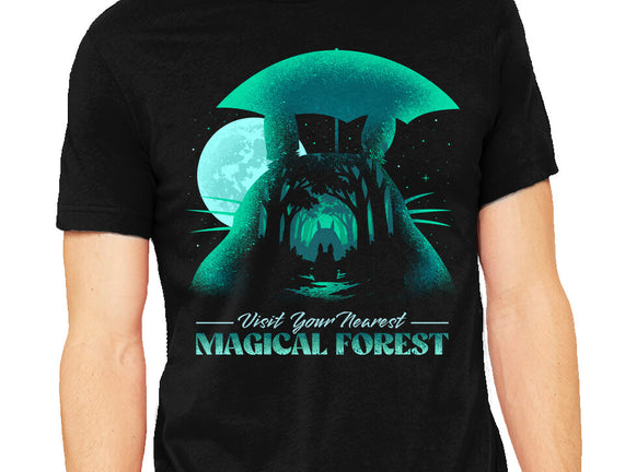 Visit Your Nearest Magical Forest