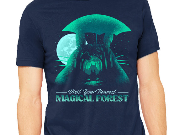 Visit Your Nearest Magical Forest