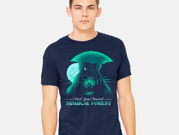 Visit Your Nearest Magical Forest