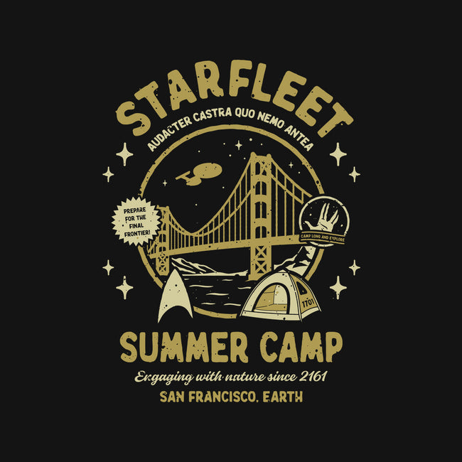 Starfleet Summer Camp-Unisex-Pullover-Sweatshirt-retrodivision
