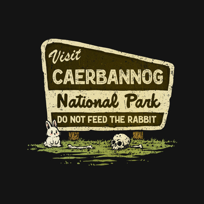 Caerbannog National Park-Womens-Basic-Tee-kg07