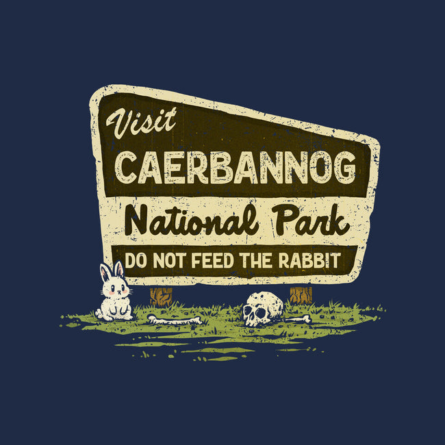 Caerbannog National Park-Womens-V-Neck-Tee-kg07