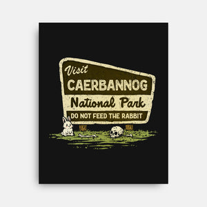 Caerbannog National Park-None-Stretched-Canvas-kg07