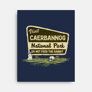Caerbannog National Park-None-Stretched-Canvas-kg07