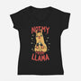 Not My Prob-Llama-Womens-V-Neck-Tee-rarpoint