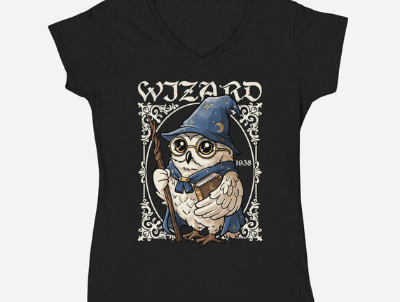 Owl Wizard Merlin