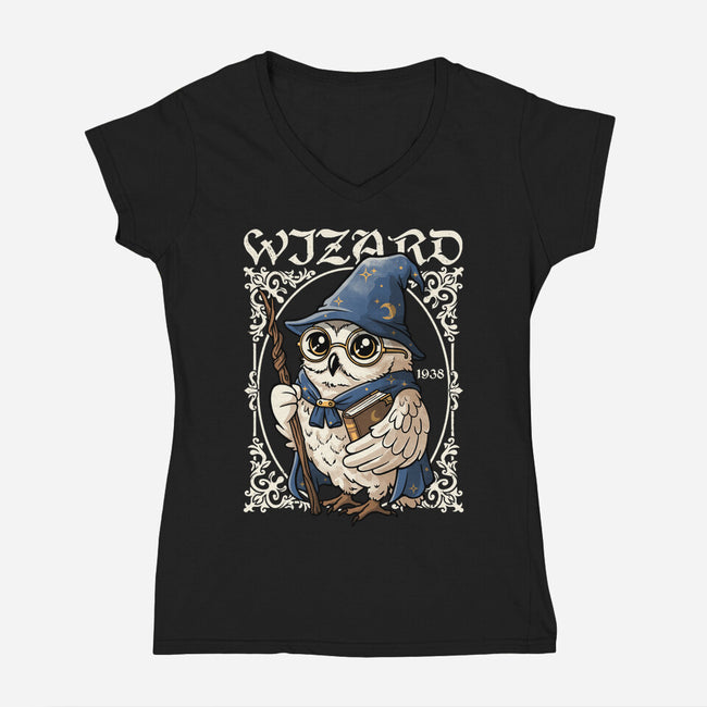 Owl Wizard Merlin-Womens-V-Neck-Tee-NemiMakeit