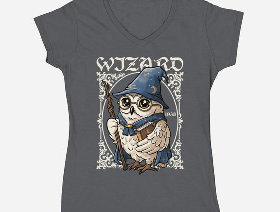 Owl Wizard Merlin