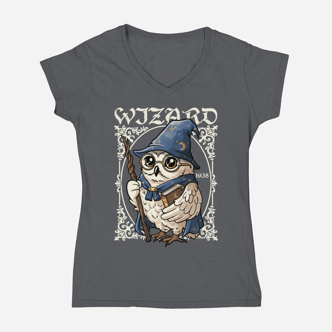 Owl Wizard Merlin-Womens-V-Neck-Tee-NemiMakeit