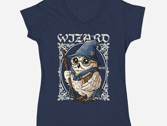 Owl Wizard Merlin