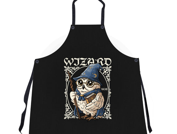Owl Wizard Merlin