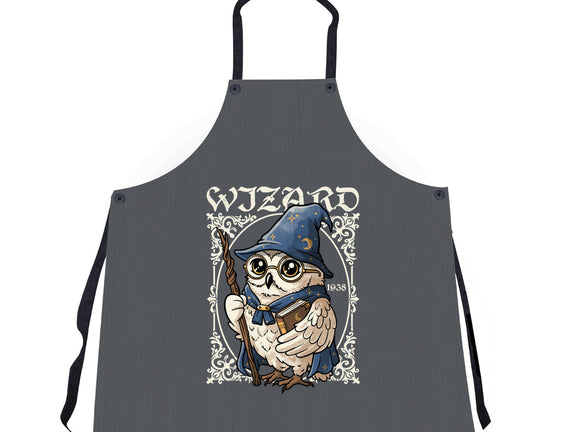 Owl Wizard Merlin