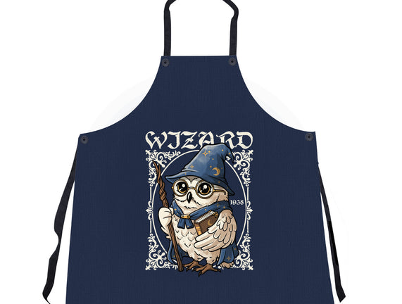 Owl Wizard Merlin