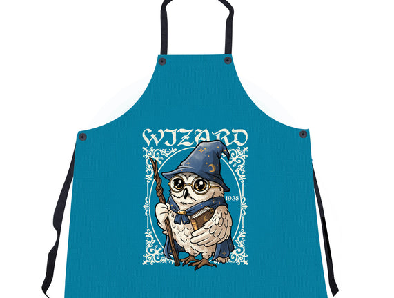 Owl Wizard Merlin