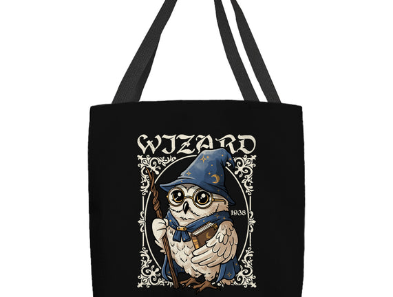 Owl Wizard Merlin