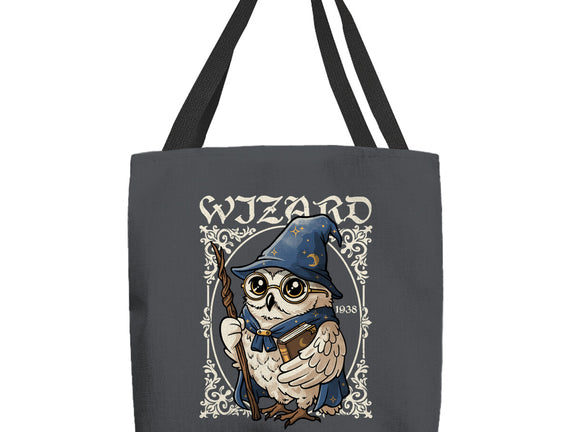 Owl Wizard Merlin