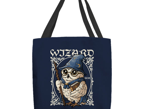 Owl Wizard Merlin