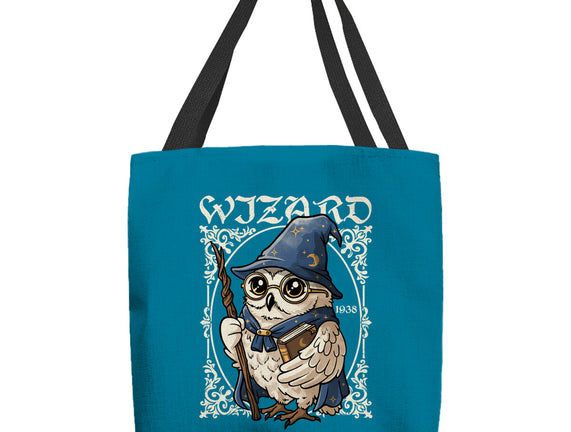 Owl Wizard Merlin