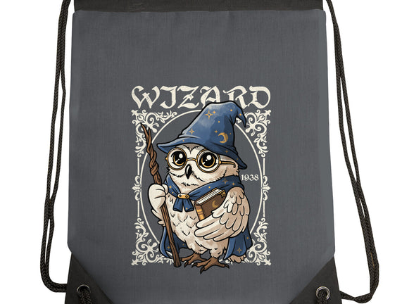 Owl Wizard Merlin