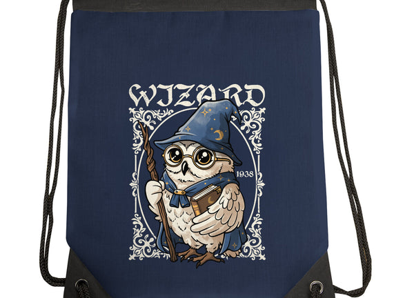 Owl Wizard Merlin