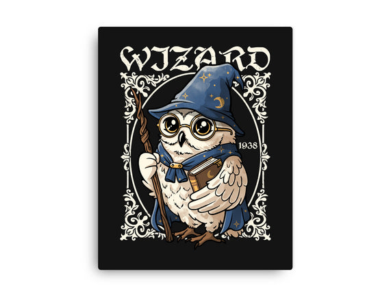 Owl Wizard Merlin