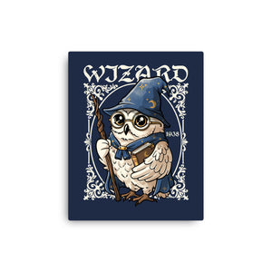 Owl Wizard Merlin