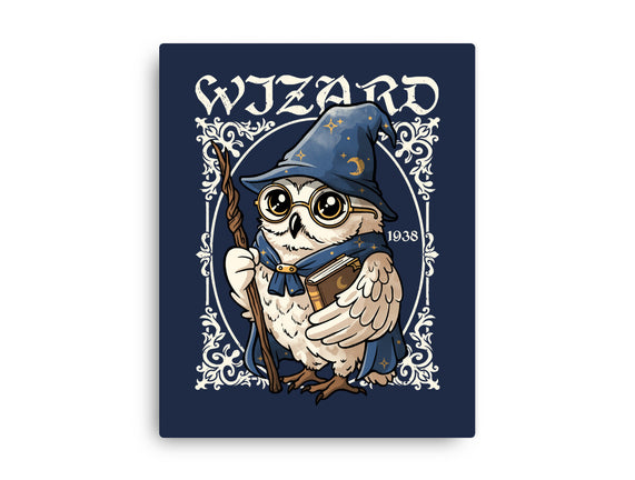 Owl Wizard Merlin