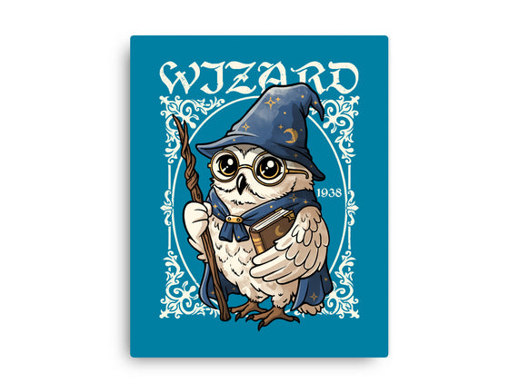 Owl Wizard Merlin