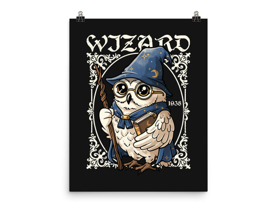 Owl Wizard Merlin