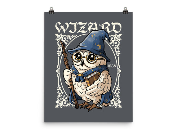 Owl Wizard Merlin