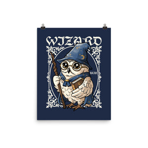 Owl Wizard Merlin