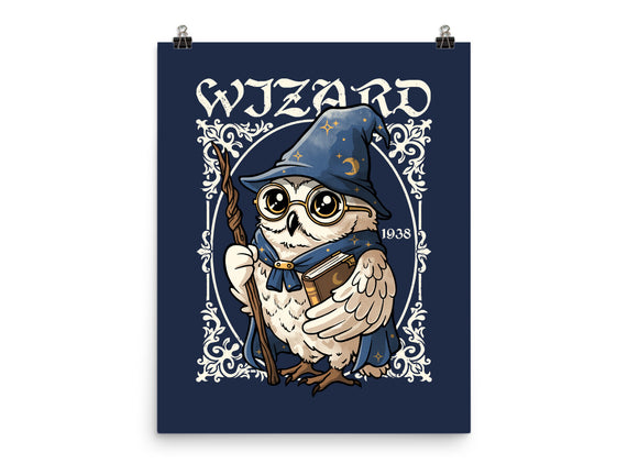 Owl Wizard Merlin