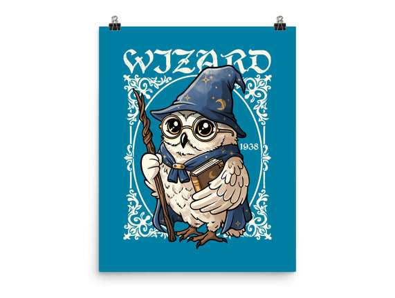 Owl Wizard Merlin