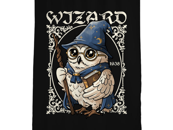 Owl Wizard Merlin