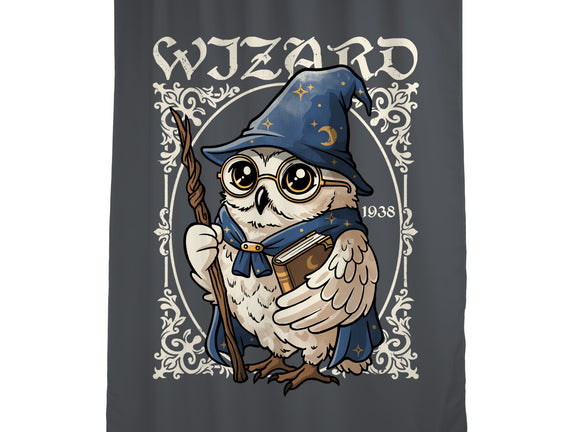 Owl Wizard Merlin
